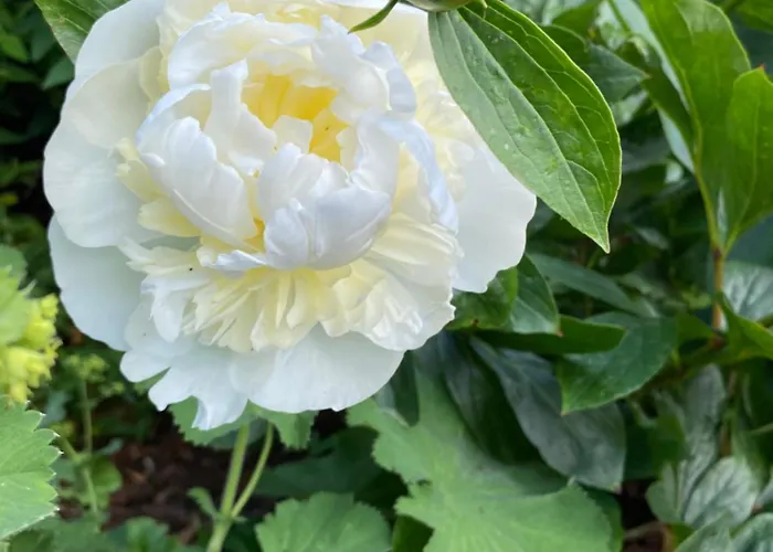 Bed & Breakfast Stunning Victorian Charm Kells (Meath)