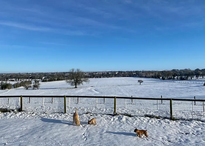 Stunning Victorian Charm *