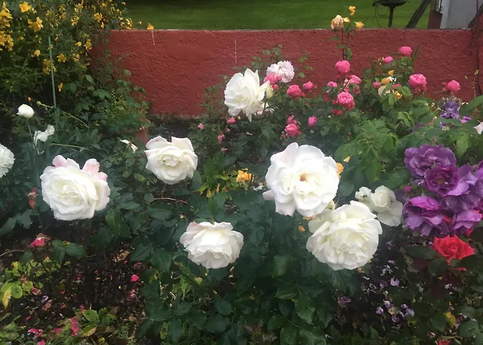 Stunning Victorian Charm *